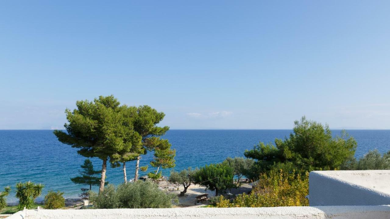 Into The Blue Villa Arkadiko Chorio المظهر الخارجي الصورة